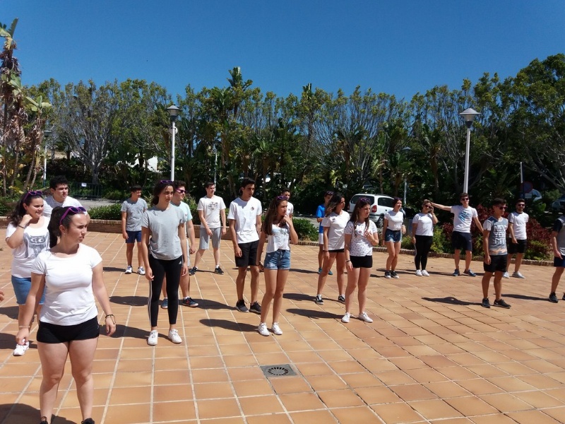 20190531 121039 (Copy)